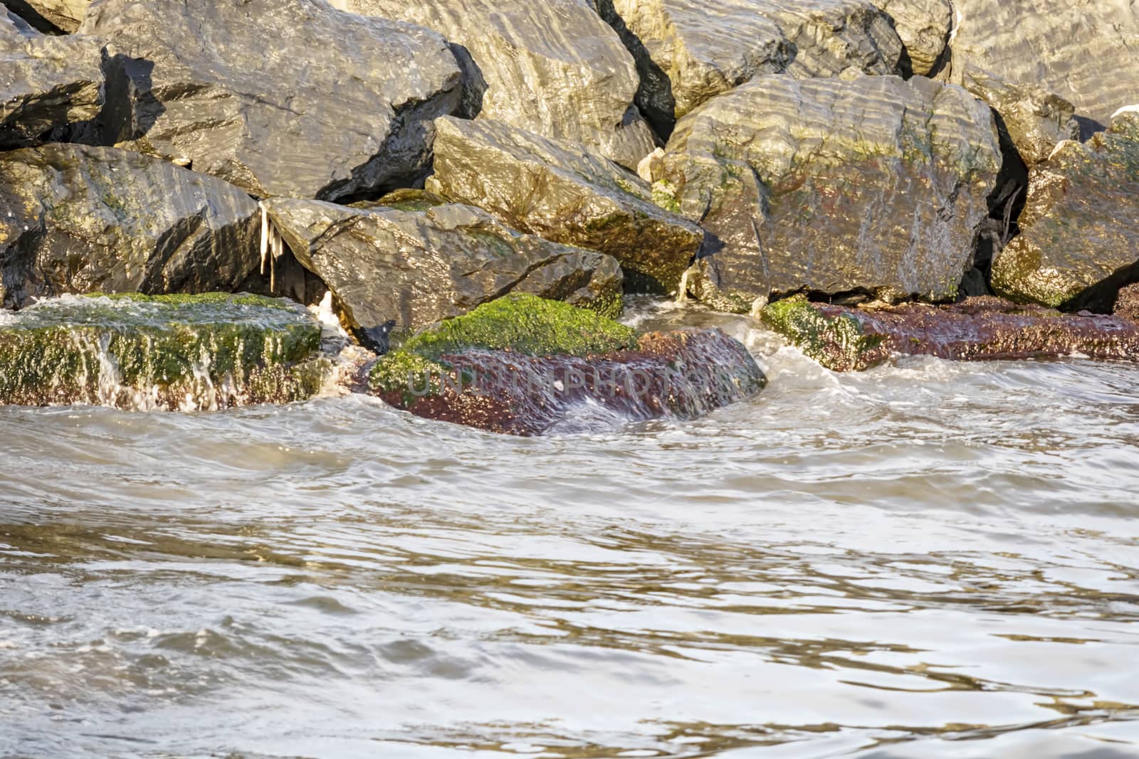 wavy sea view in nature for background and wallpaper