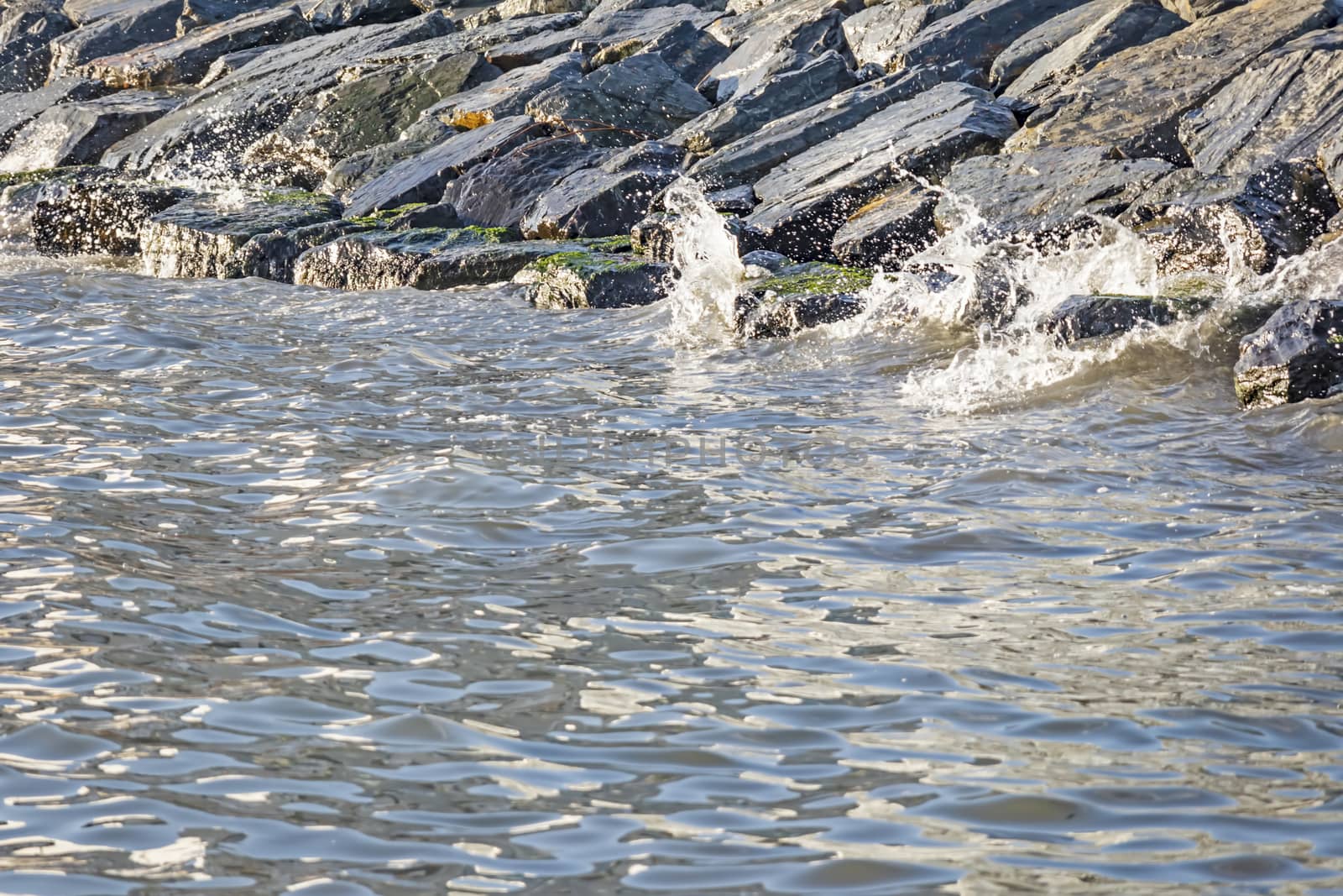 wavy sea view in nature for background and wallpaper