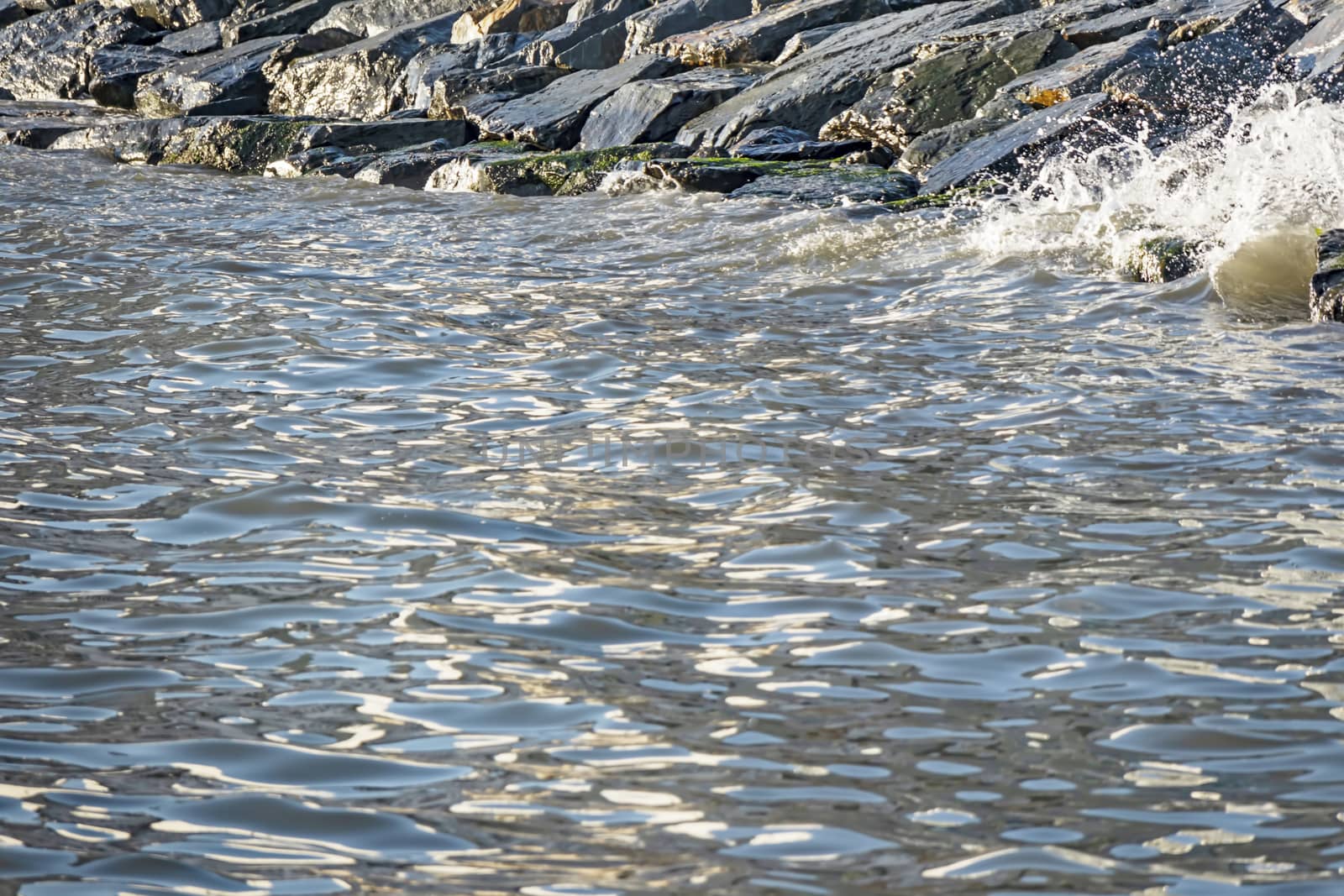 wavy sea view in nature for background and wallpaper