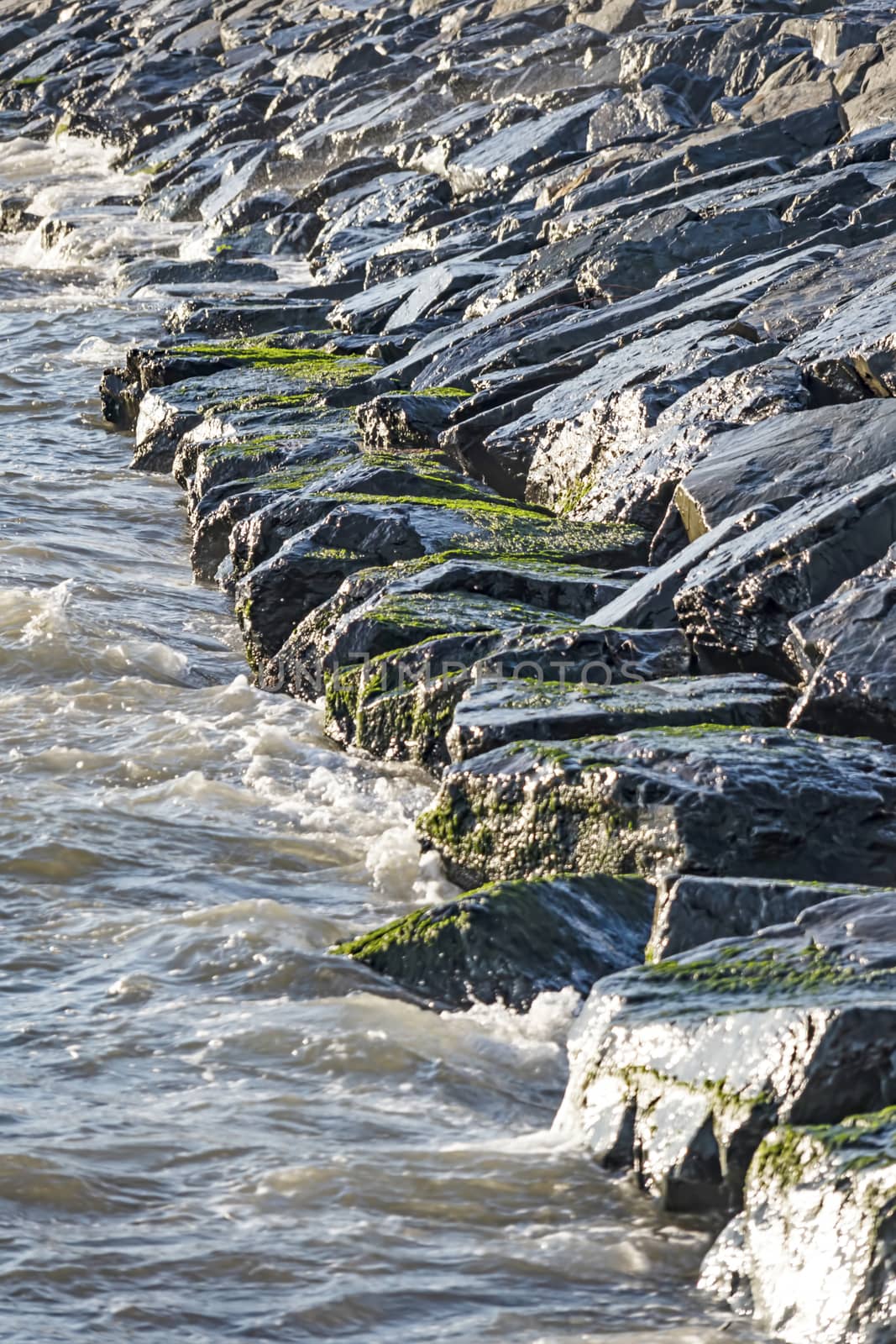 wavy sea view in nature for background and wallpaper