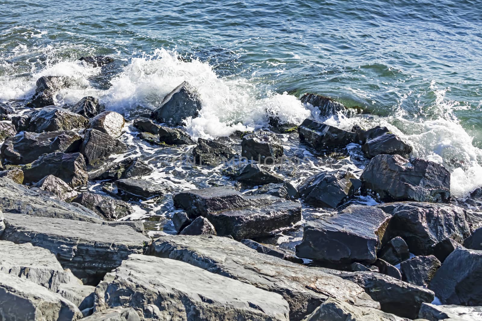 wavy sea view in nature for background and wallpaper