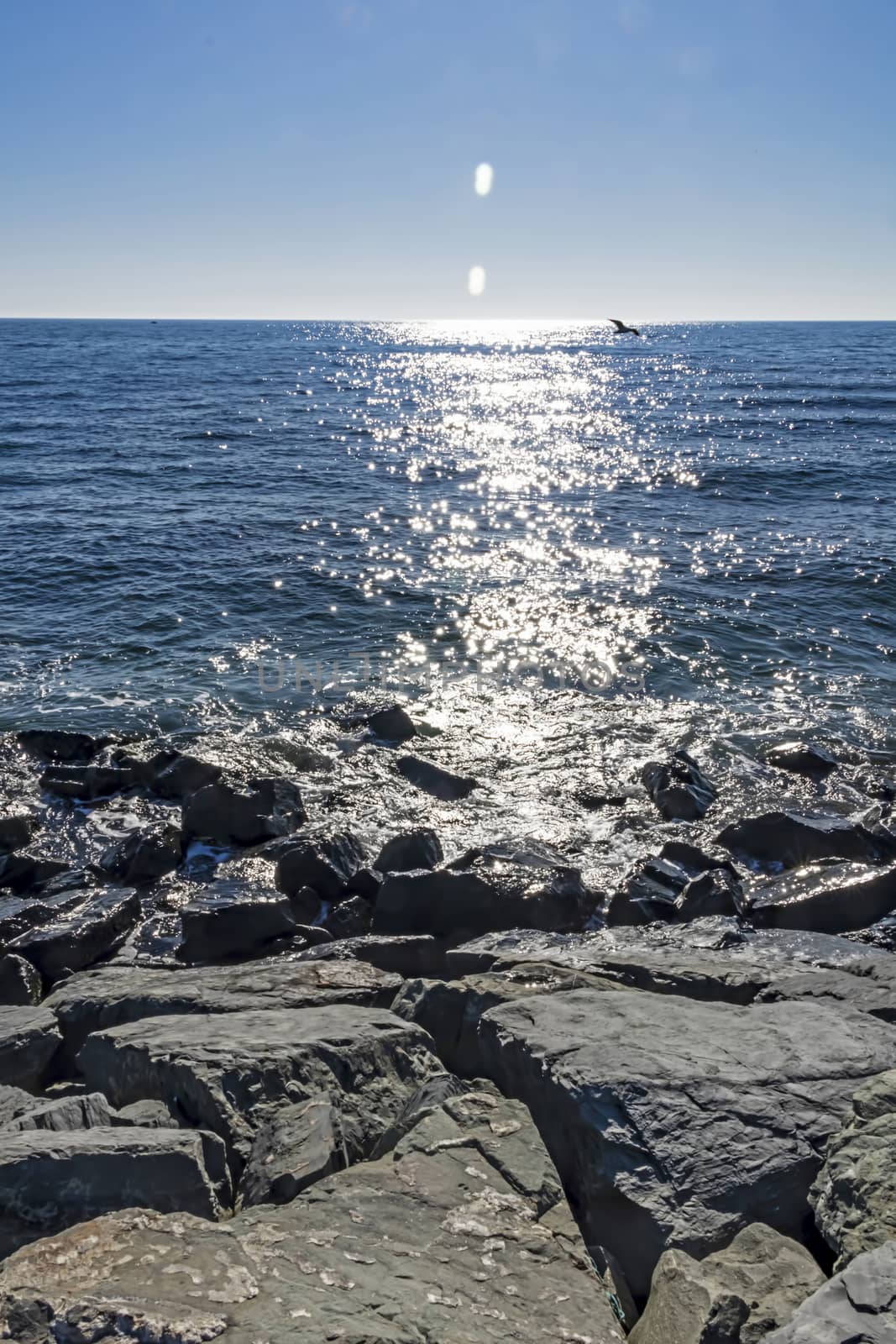 wavy sea view in nature for background and wallpaper