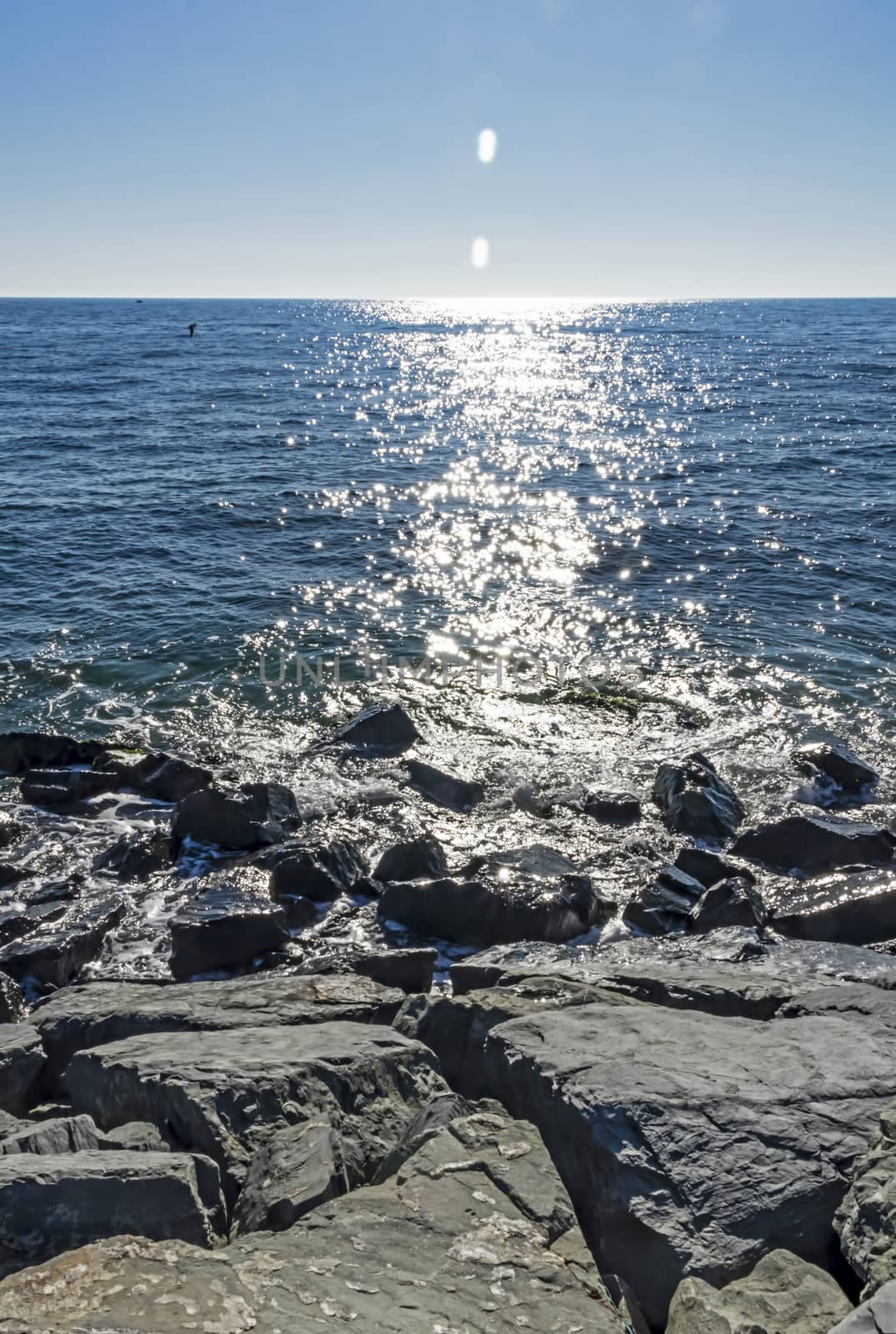 wavy sea view in nature for background and wallpaper
