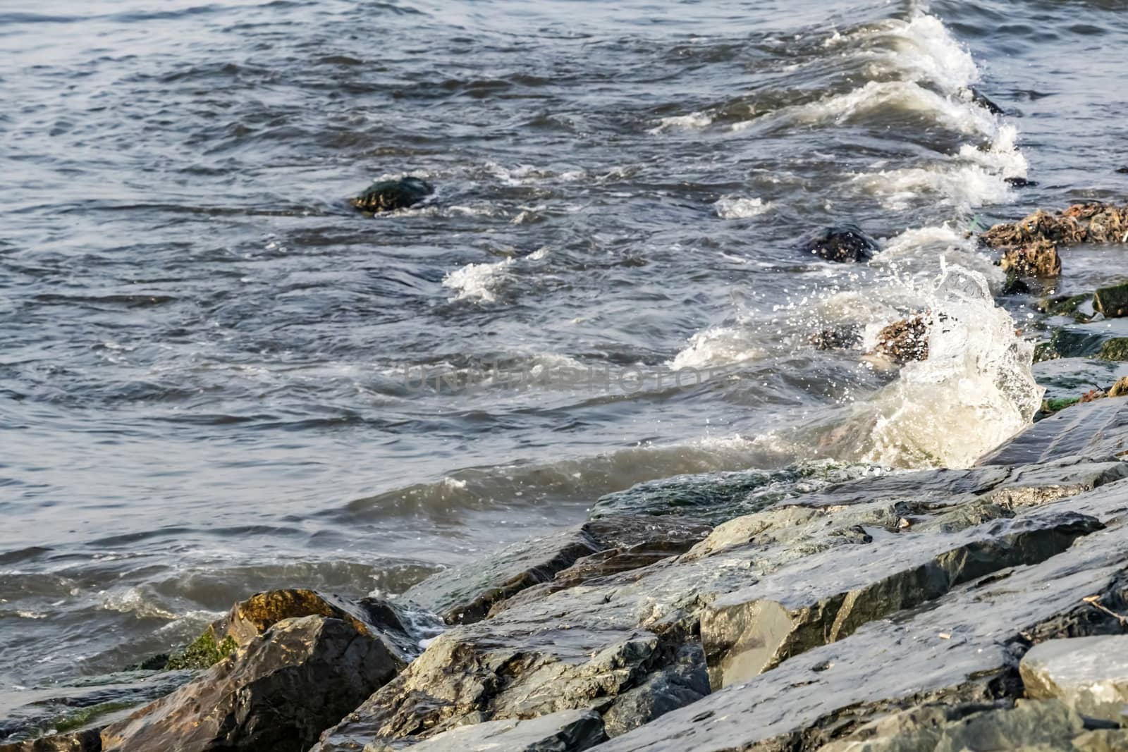 wavy sea view in nature for background and wallpaper