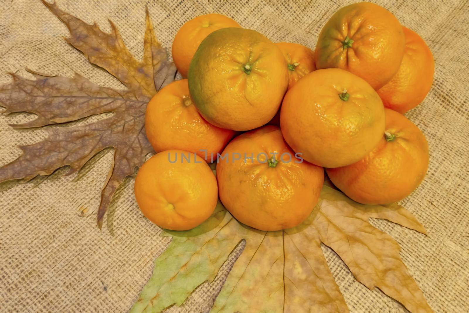 mandarin fruits with vitamin c in winter season
