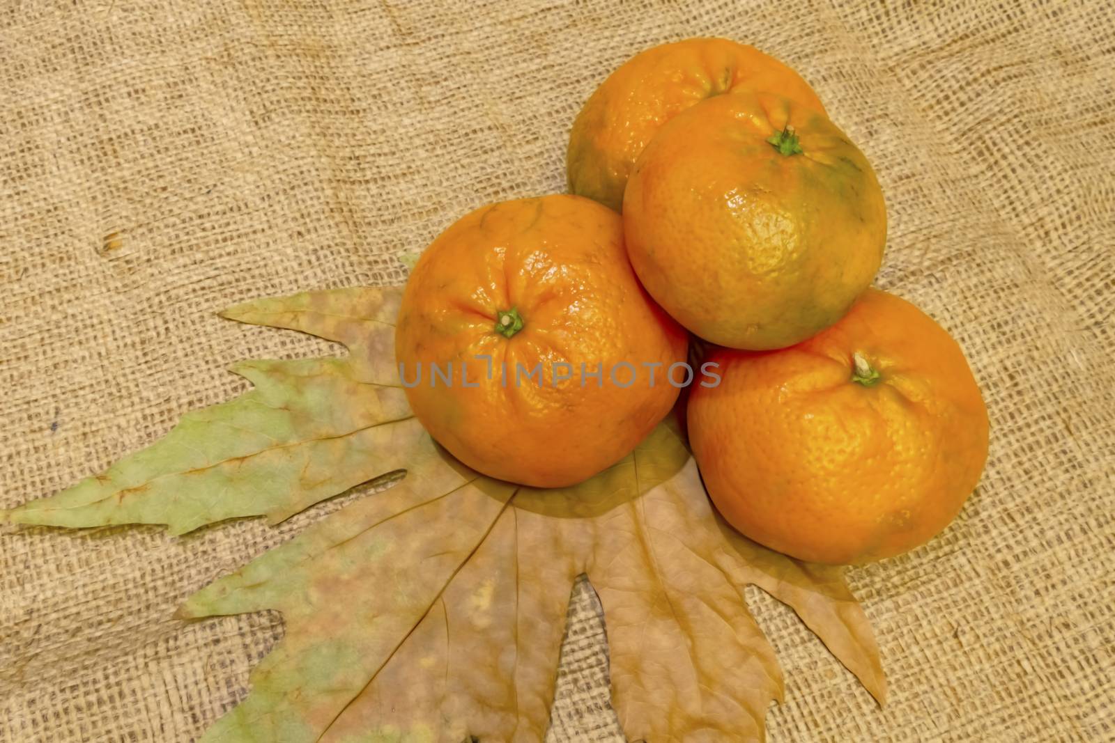 mandarin fruits with vitamin c in winter season