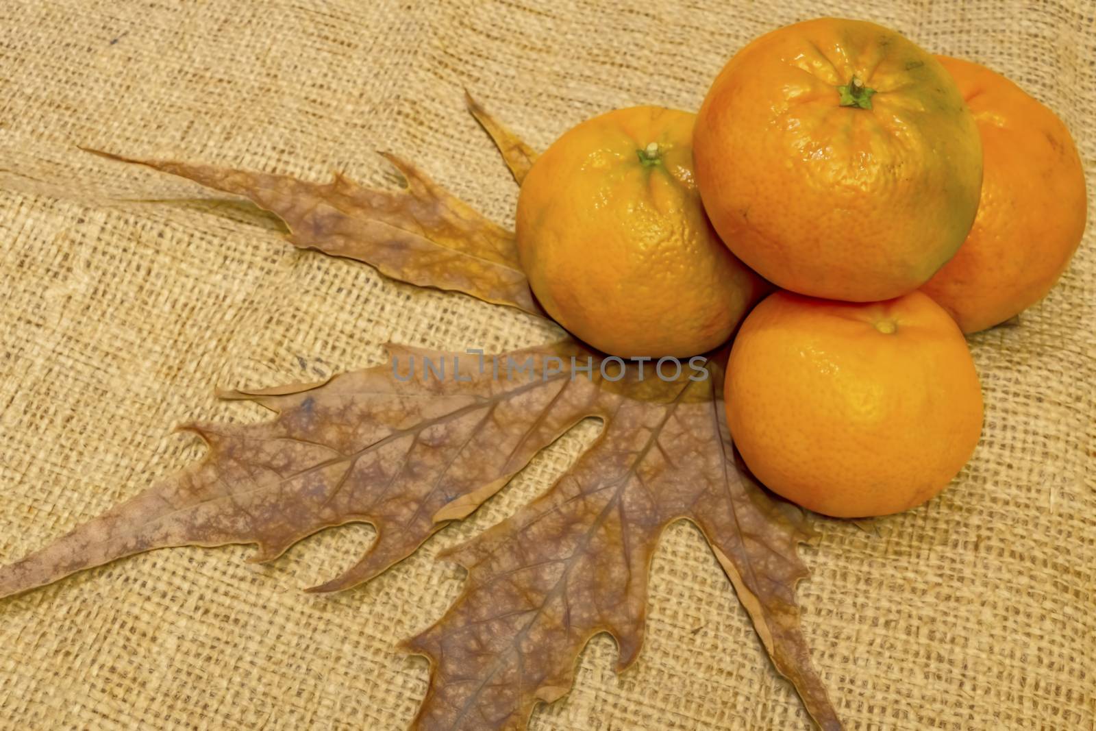 mandarin fruits with vitamin c in winter season