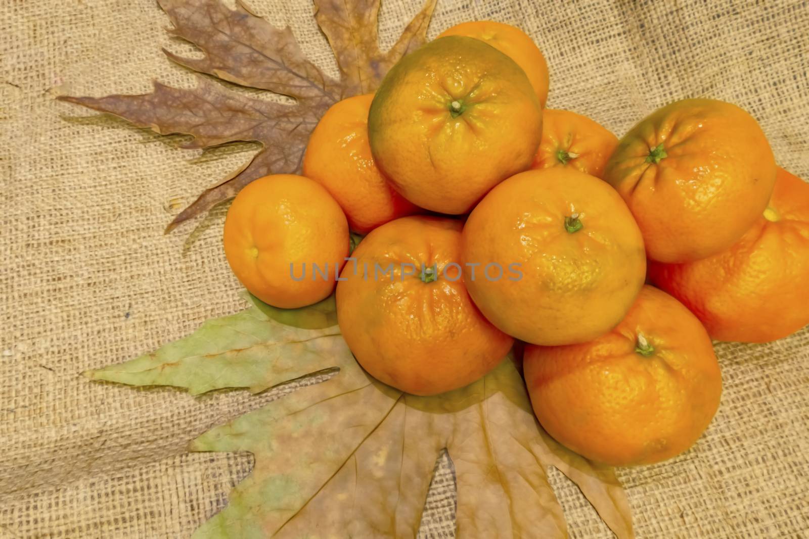 mandarin fruits with vitamin c in winter season
