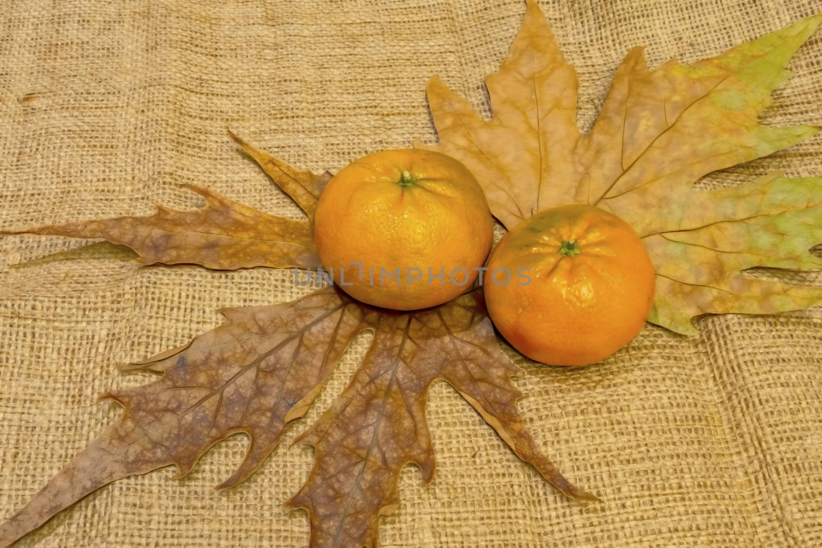 mandarin fruits with vitamin c in winter season
