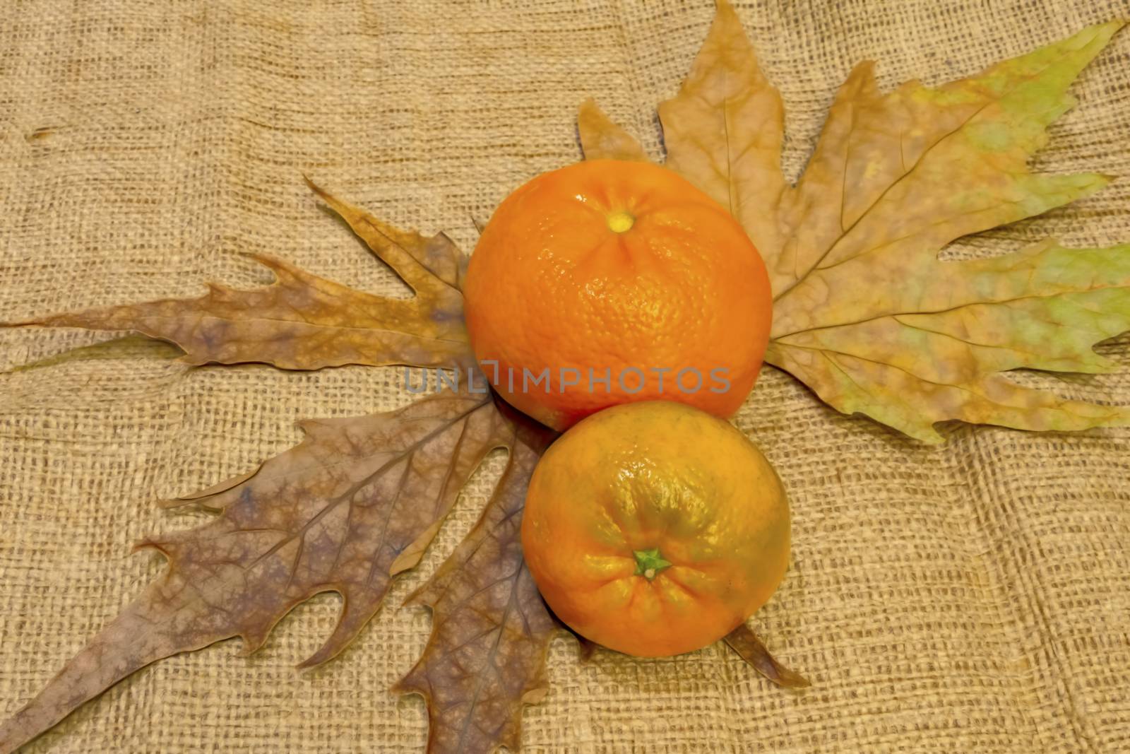 mandarin fruits with vitamin c in winter season
