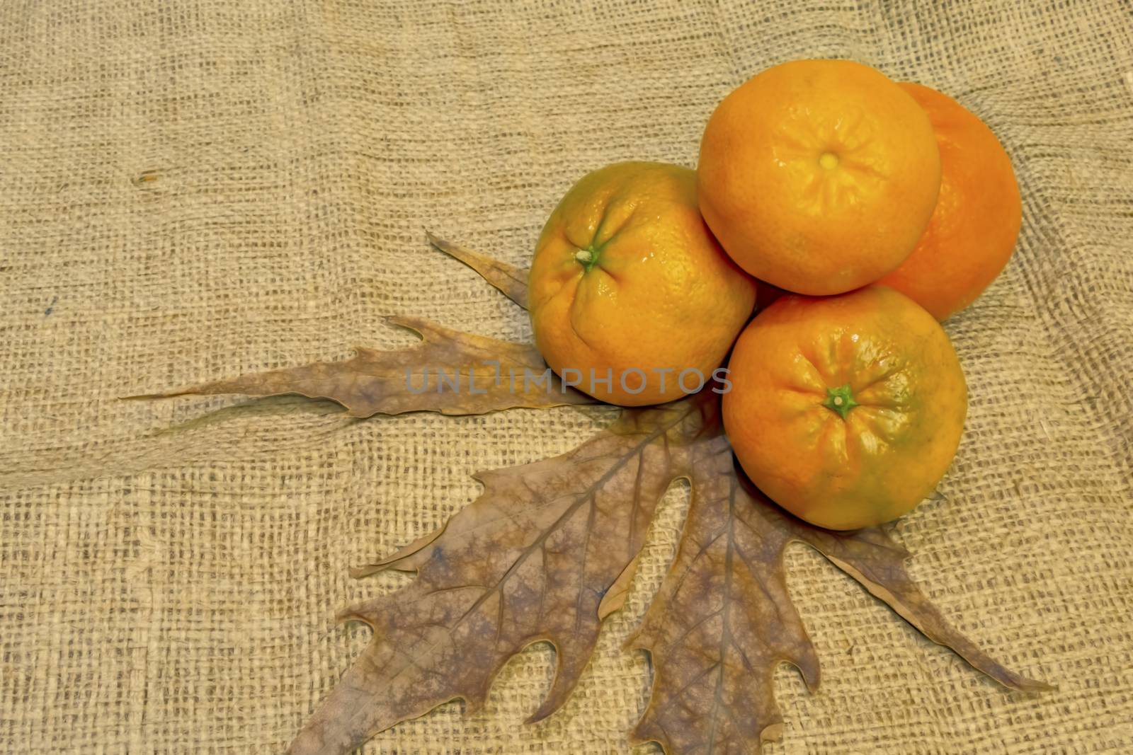 mandarin fruits with vitamin c in winter season