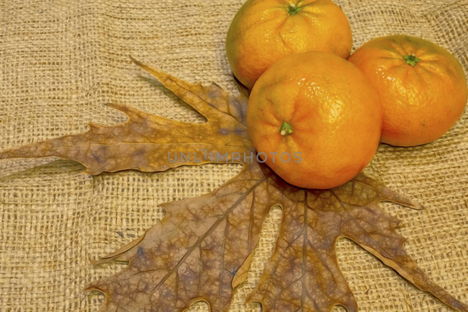 mandarin fruits with vitamin c in winter season