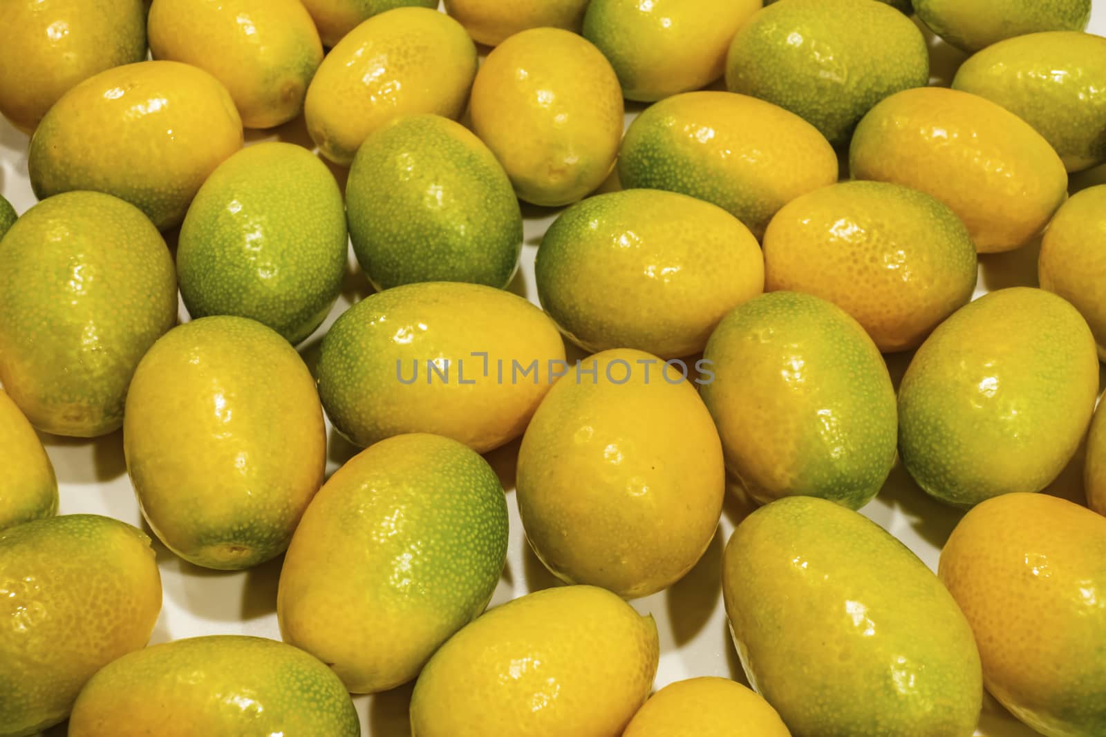 close up kumquat fruits on background