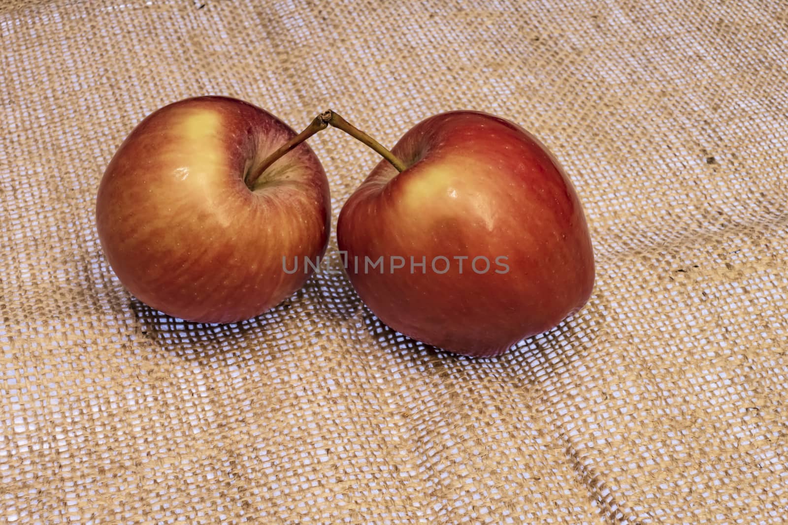 close up ready to eat apple fruit on background
