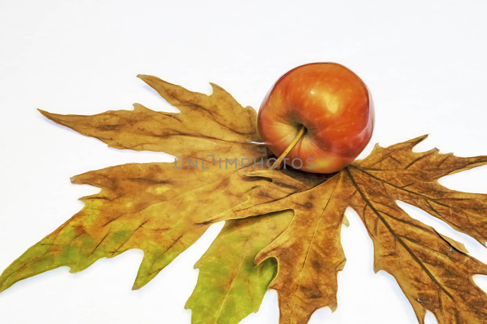 close up ready to eat apple fruit on background