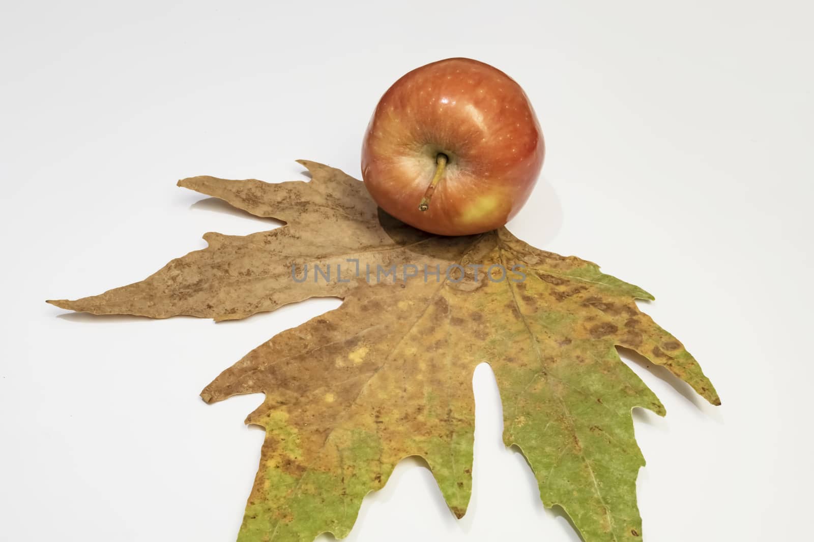 close up ready to eat apple fruit on background