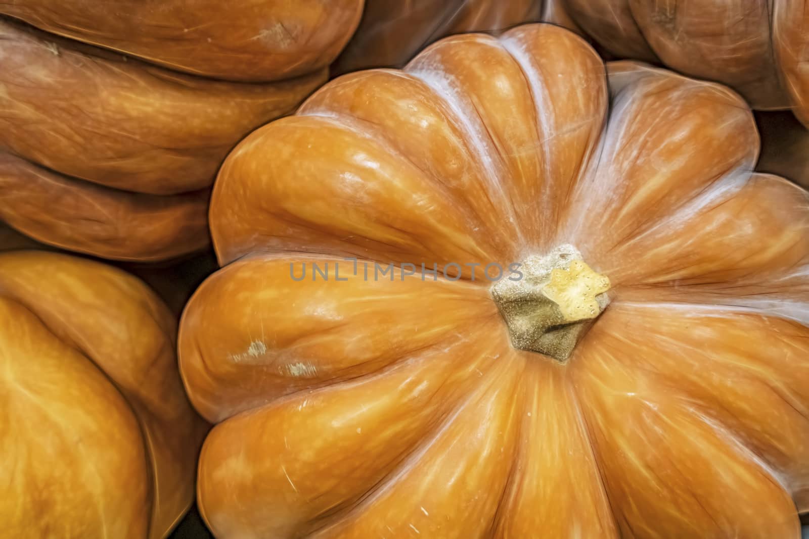 close up pumpkins in market stall by yilmazsavaskandag