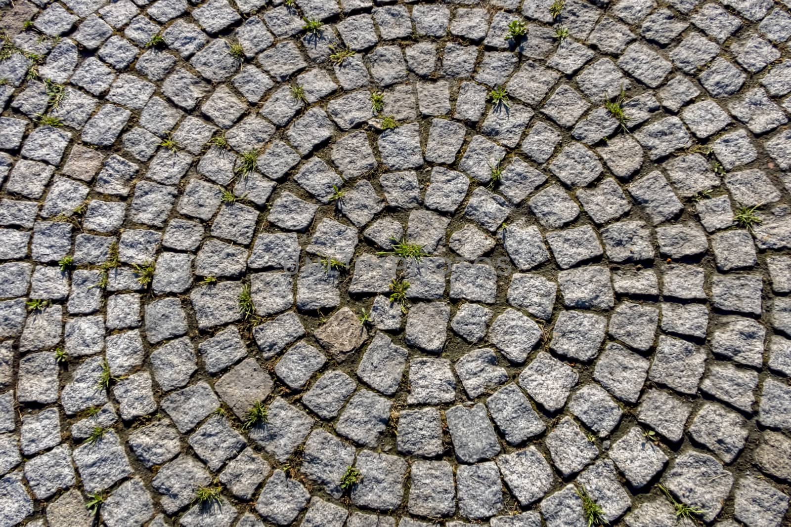 natural pattern view in nature for background and wallpaper