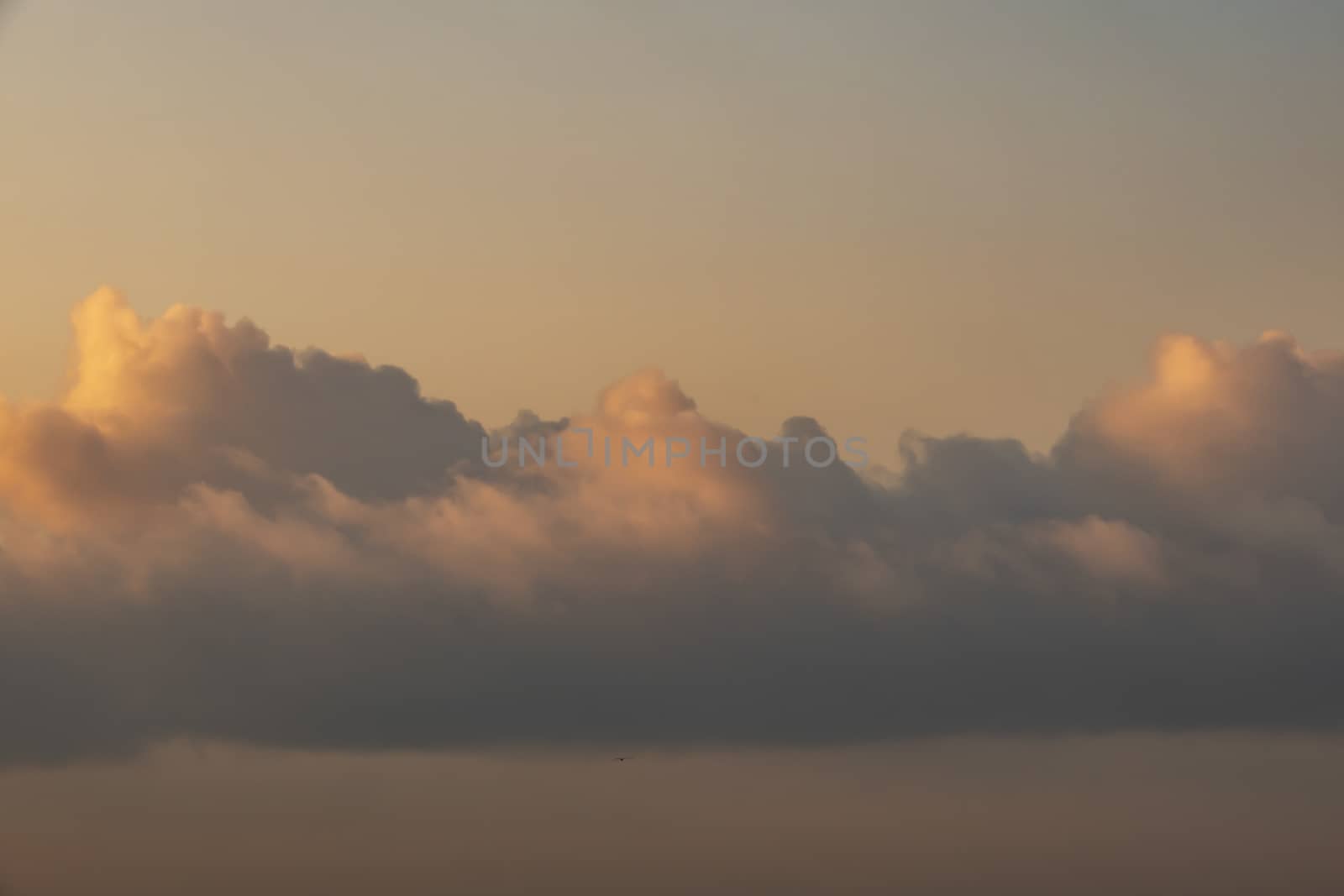 sky view for background and wallpaper