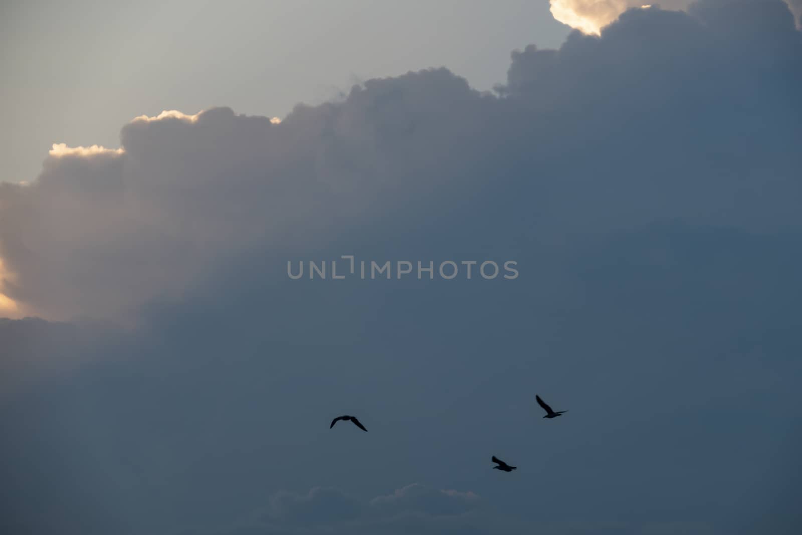 sky view for background and wallpaper
