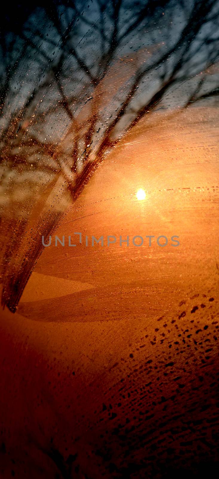 Abstract image of sunrise seen through foggy glass and textured tree. by mshivangi92