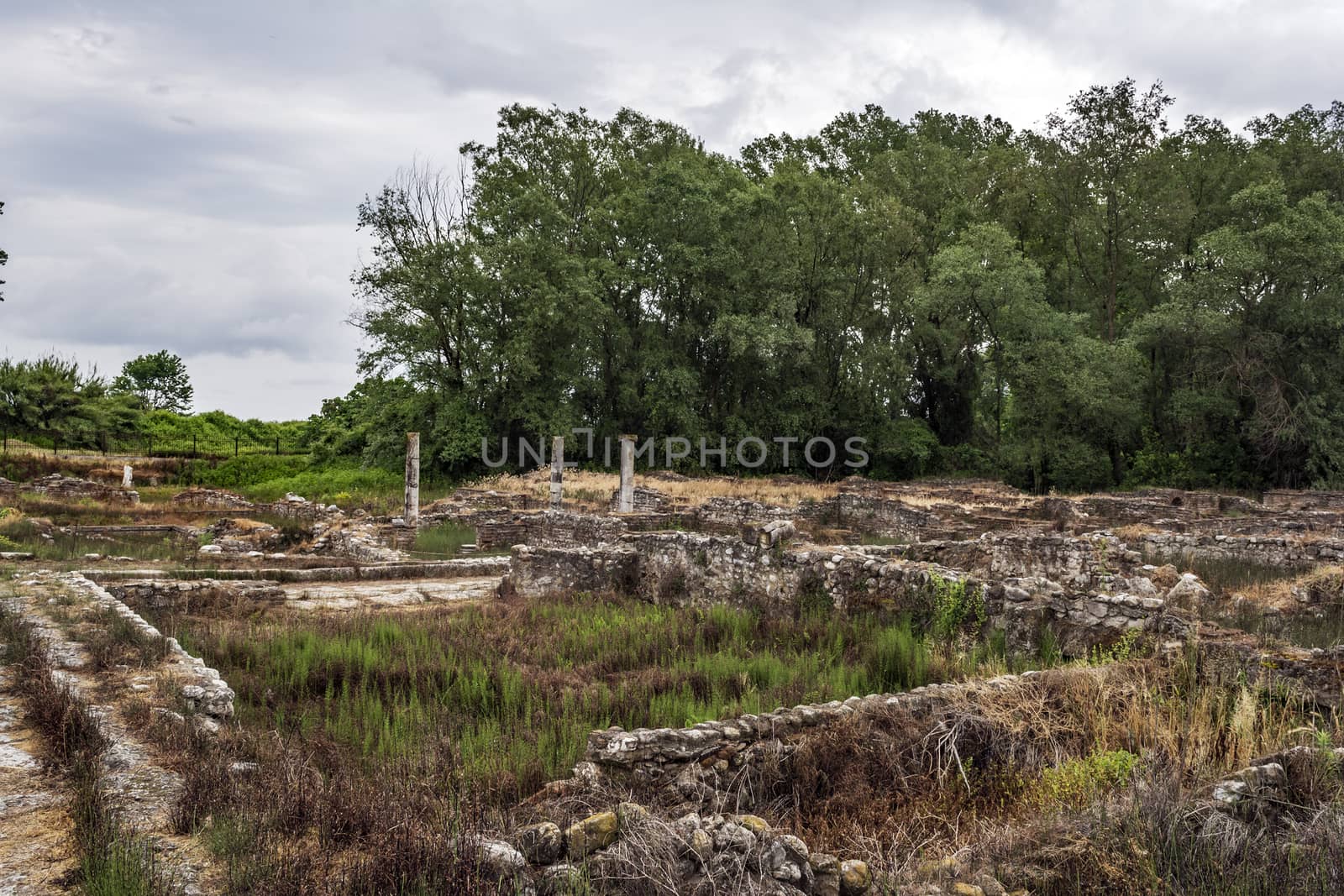 Ancient ruins in the Dion Archaeological Site at Greece by ankarb