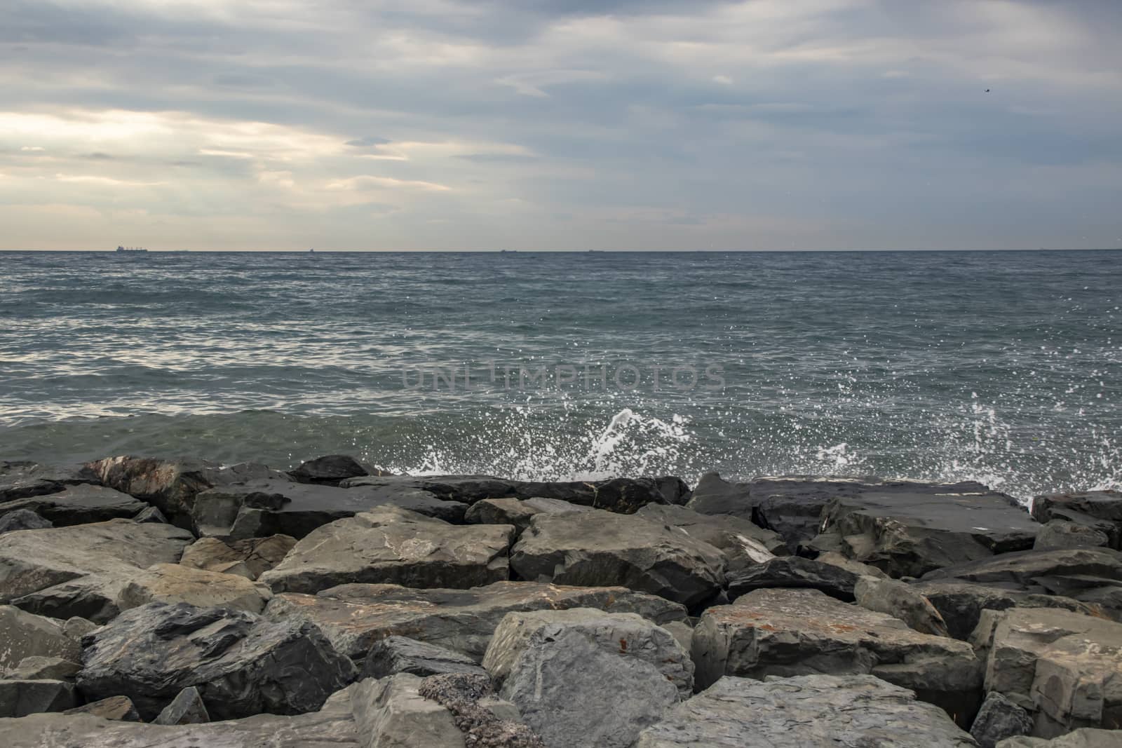 wavy sea view in nature for background and wallpaper