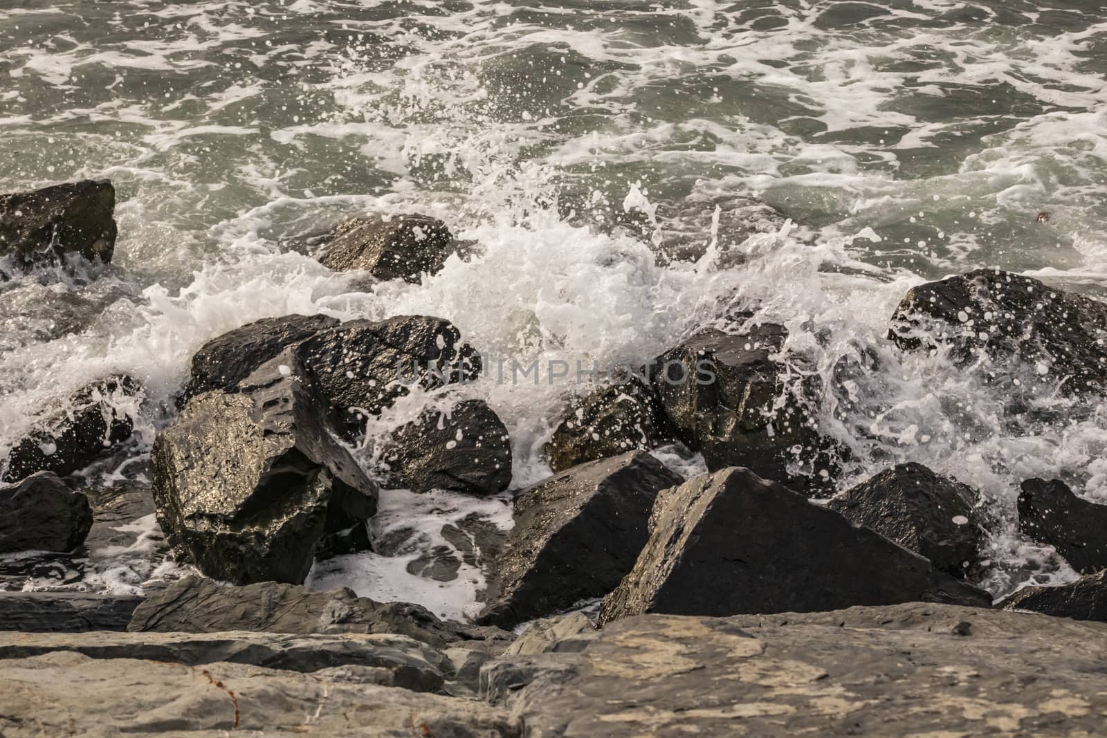 wavy sea view in nature for background and wallpaper