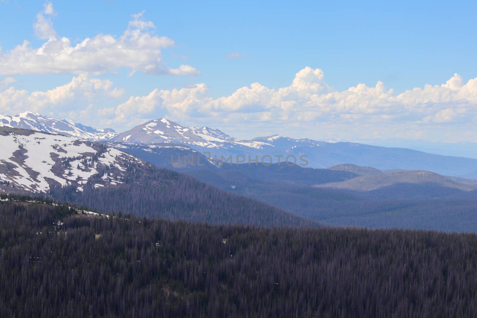 The Colorado mountain snowy covered peaks summer 2019 by gena_wells