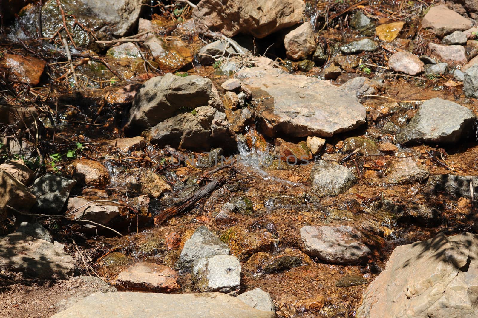 A rushing stream along Colorado hiking trails