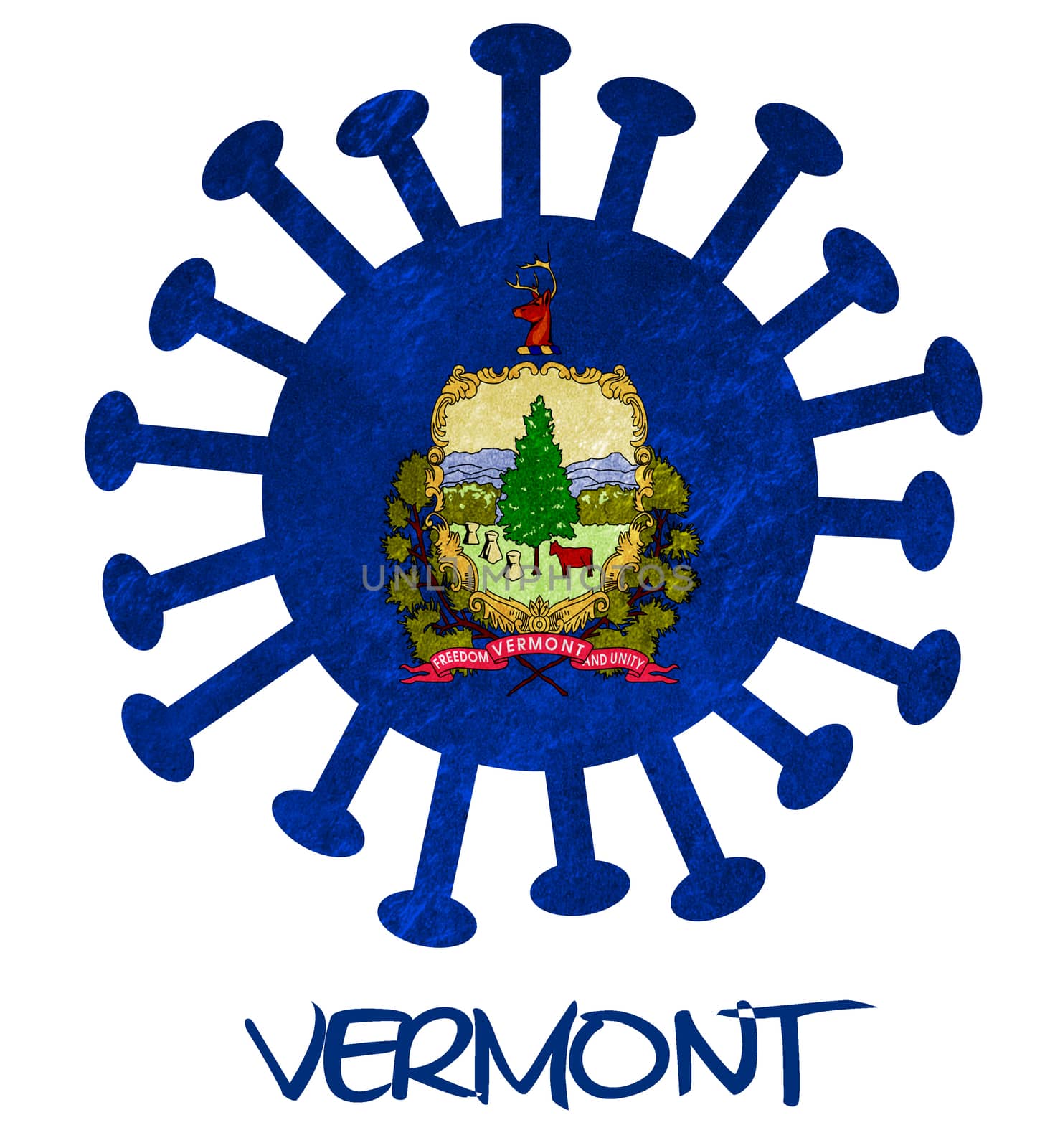 State flag of Vermont with corona virus or bacteria by michaklootwijk
