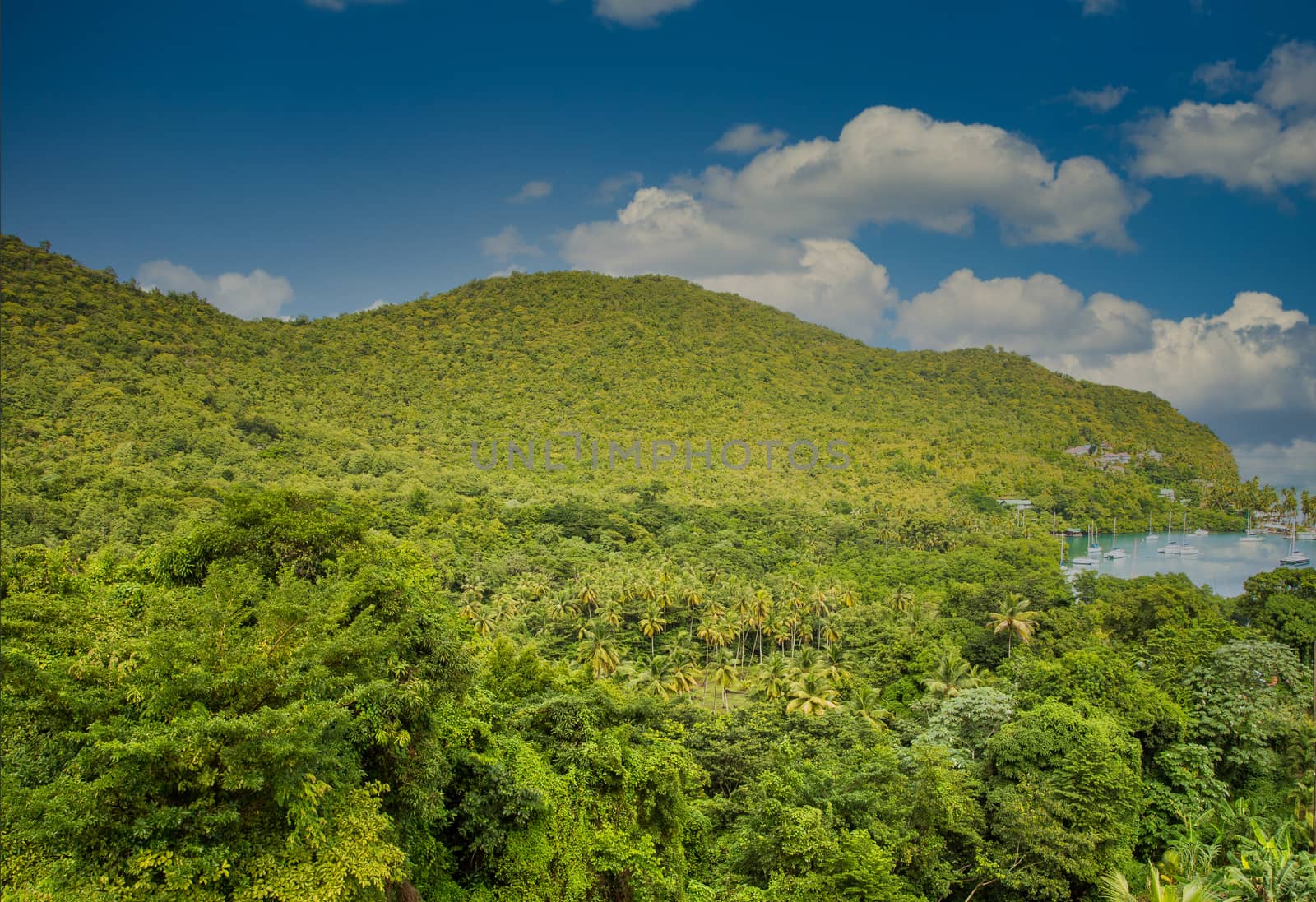 View of Marigot Bay from hilltop in St Lucia