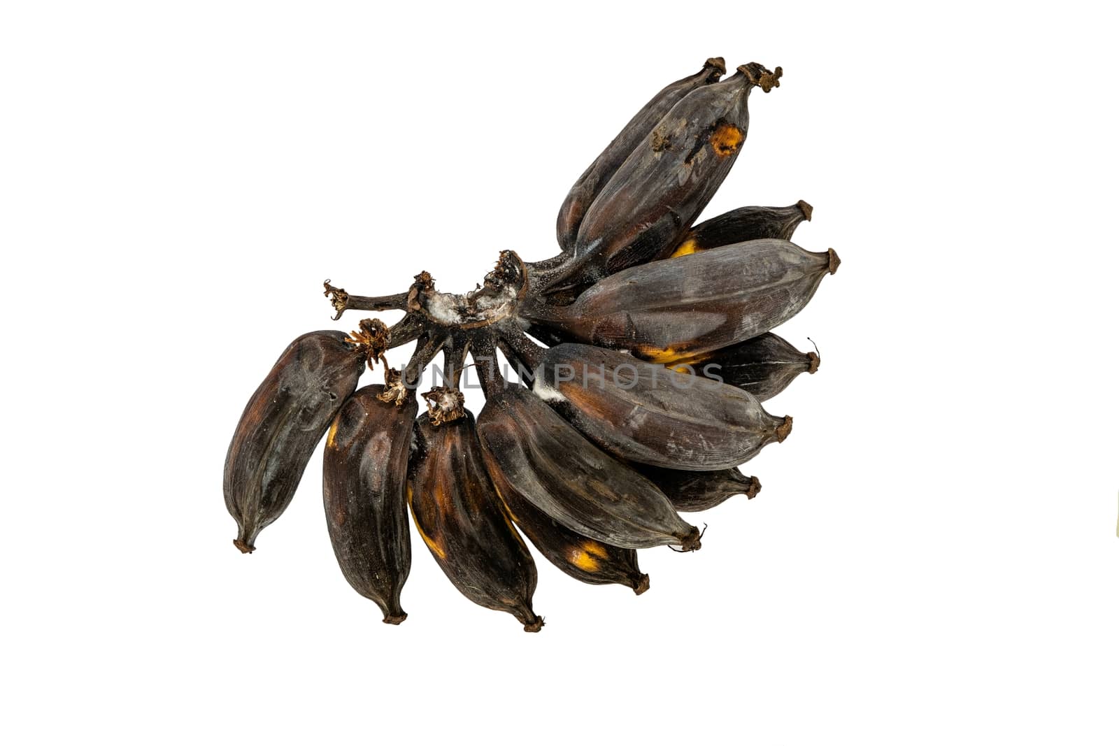 The Ripe bananas on a white background Yellow and black banana peel.