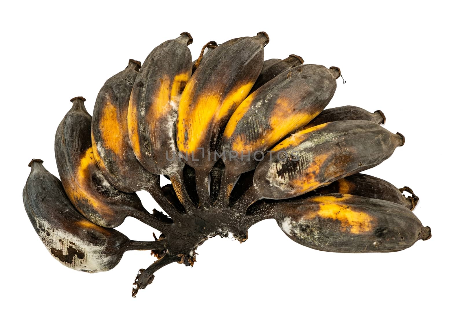 Ripe bananas on a white background Yellow and black banana peel. by peerapixs