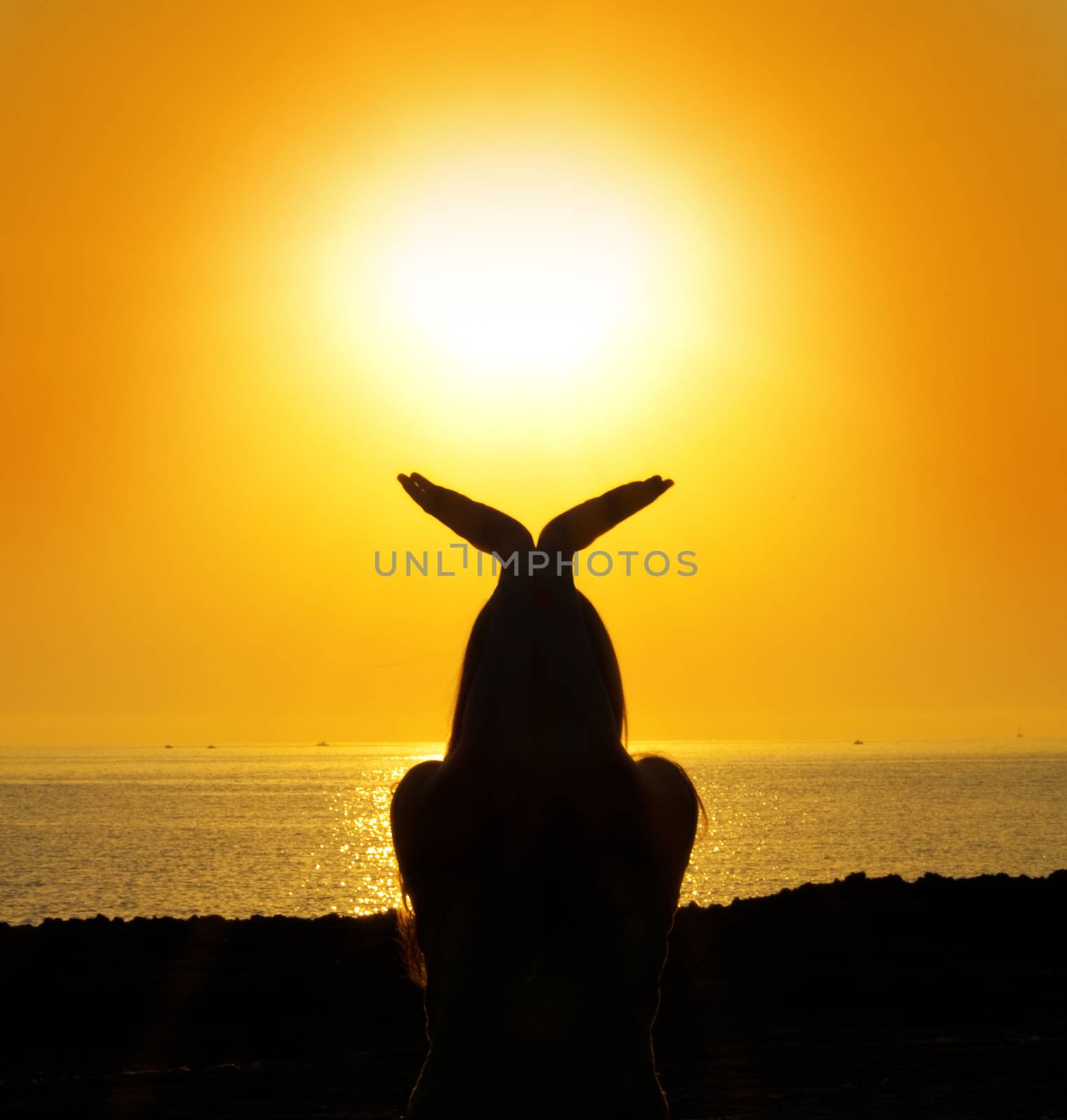 woman silhouette in the sun light on sea