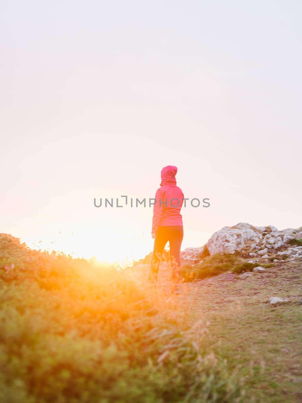 Woman walking away in the sunlight on a hill top footpath at Pembrokeshire Coast Path at sunset in Martin's Haven - Pembrokeshire, West Wales.