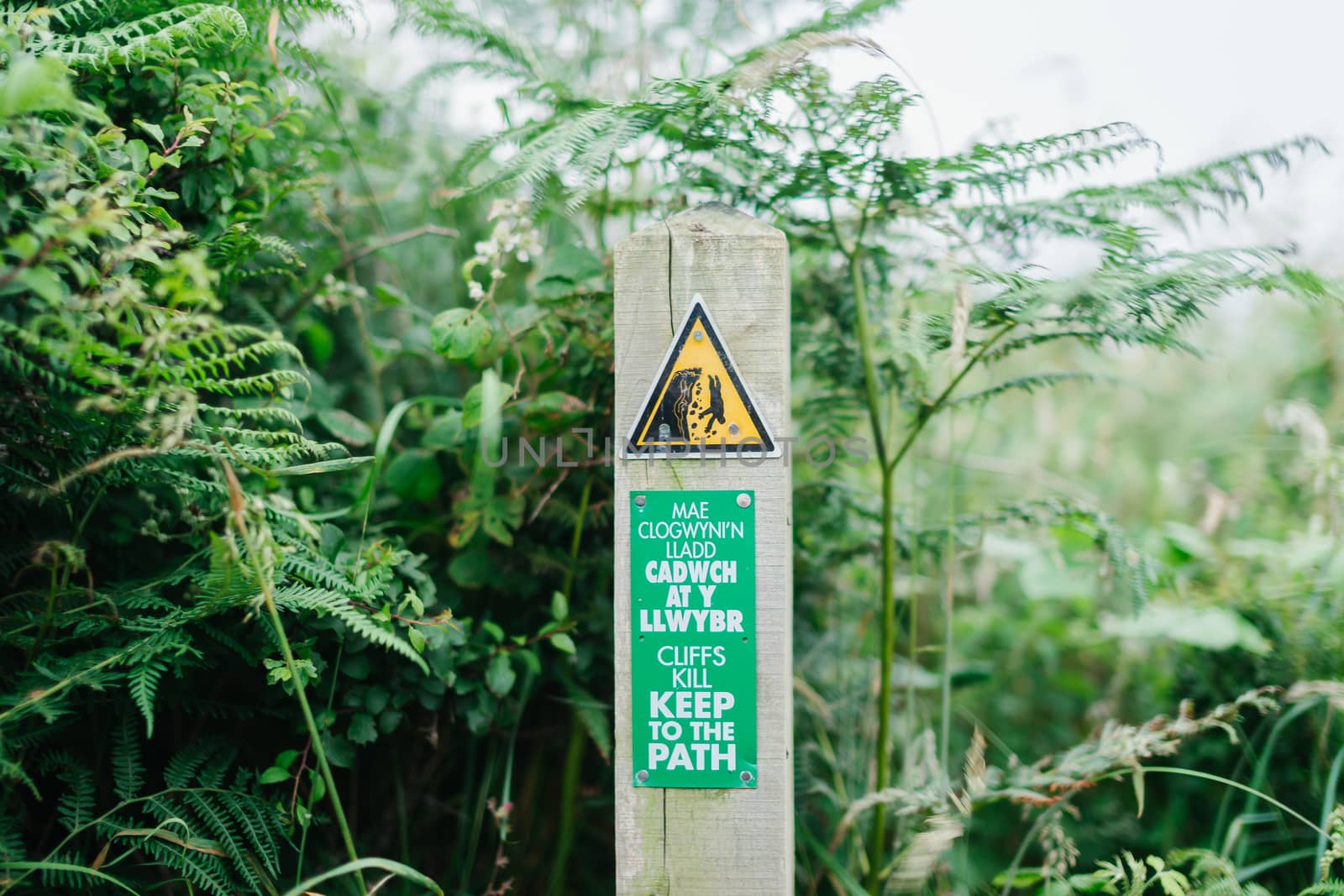 Cliffs kill, keep to the path tourist sign in welsh and english languages on the coastal pathway in Wales, UK. by tamas_gabor