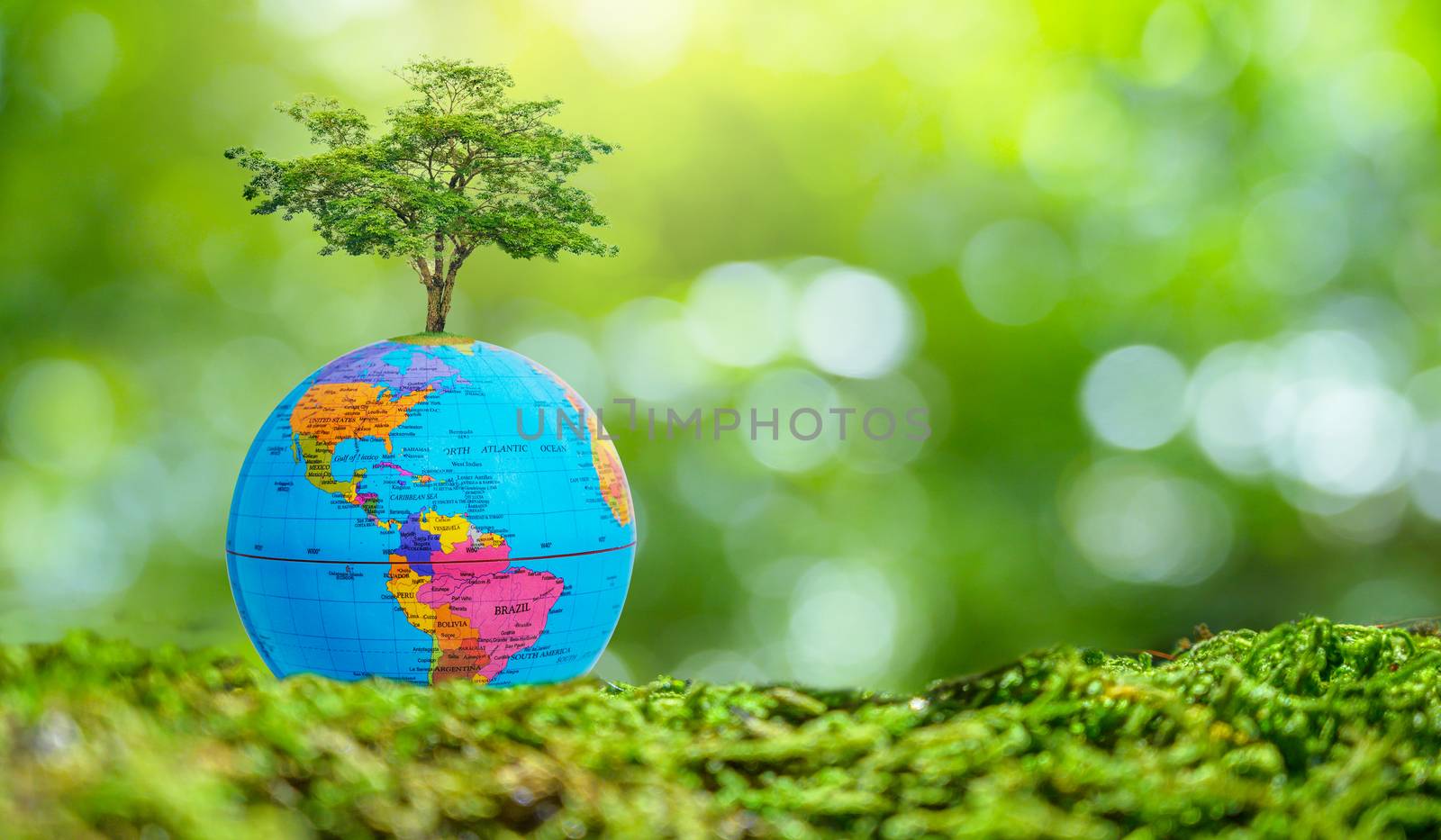 Concept Save the world save environment The world is in the grass of the green bokeh background