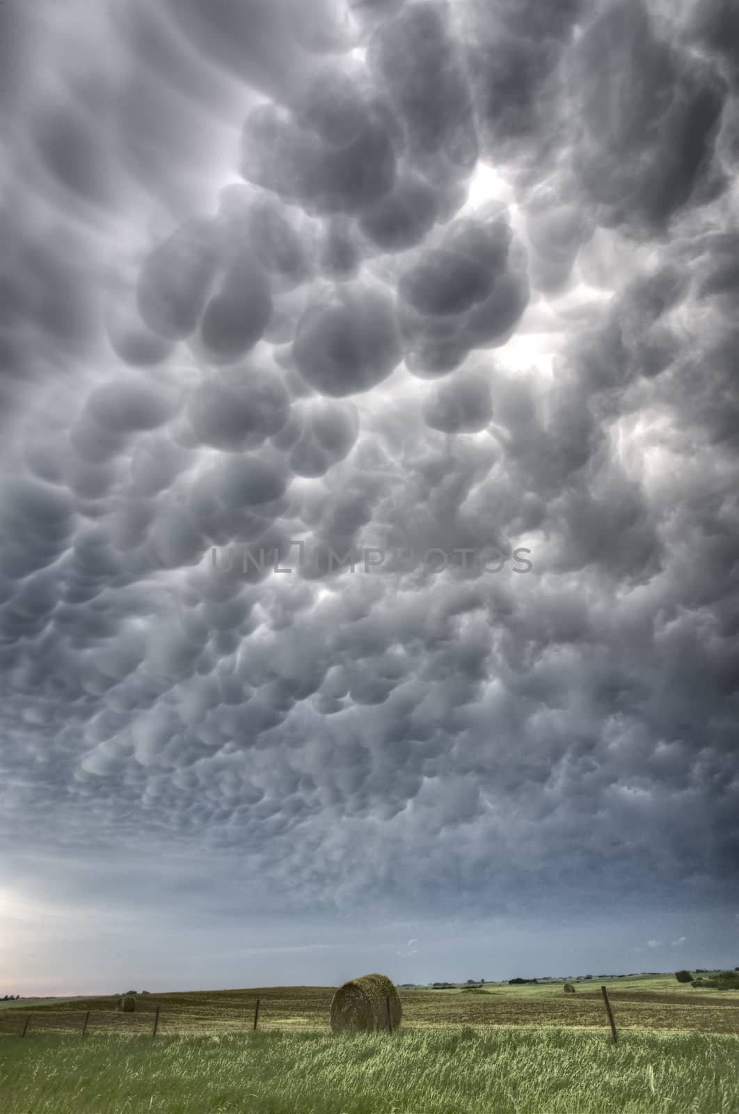 Prairie Storm Canada summer rural major Clouds Mammatus