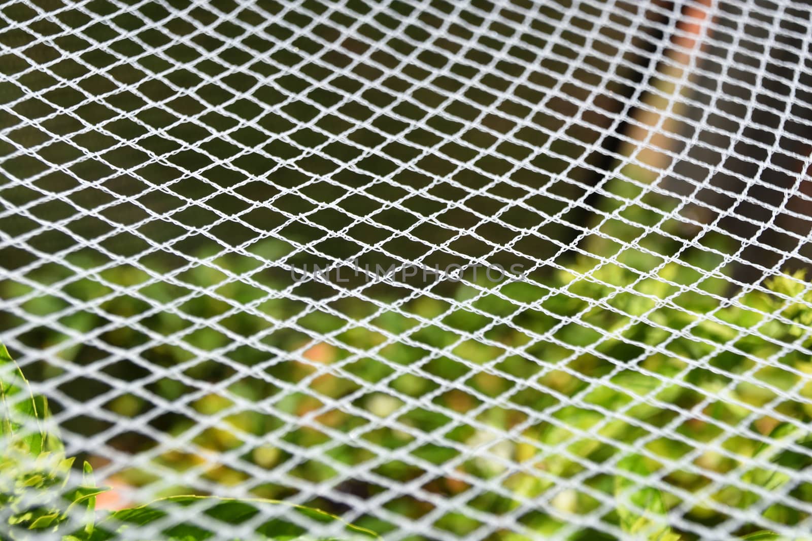 White garden netting texture