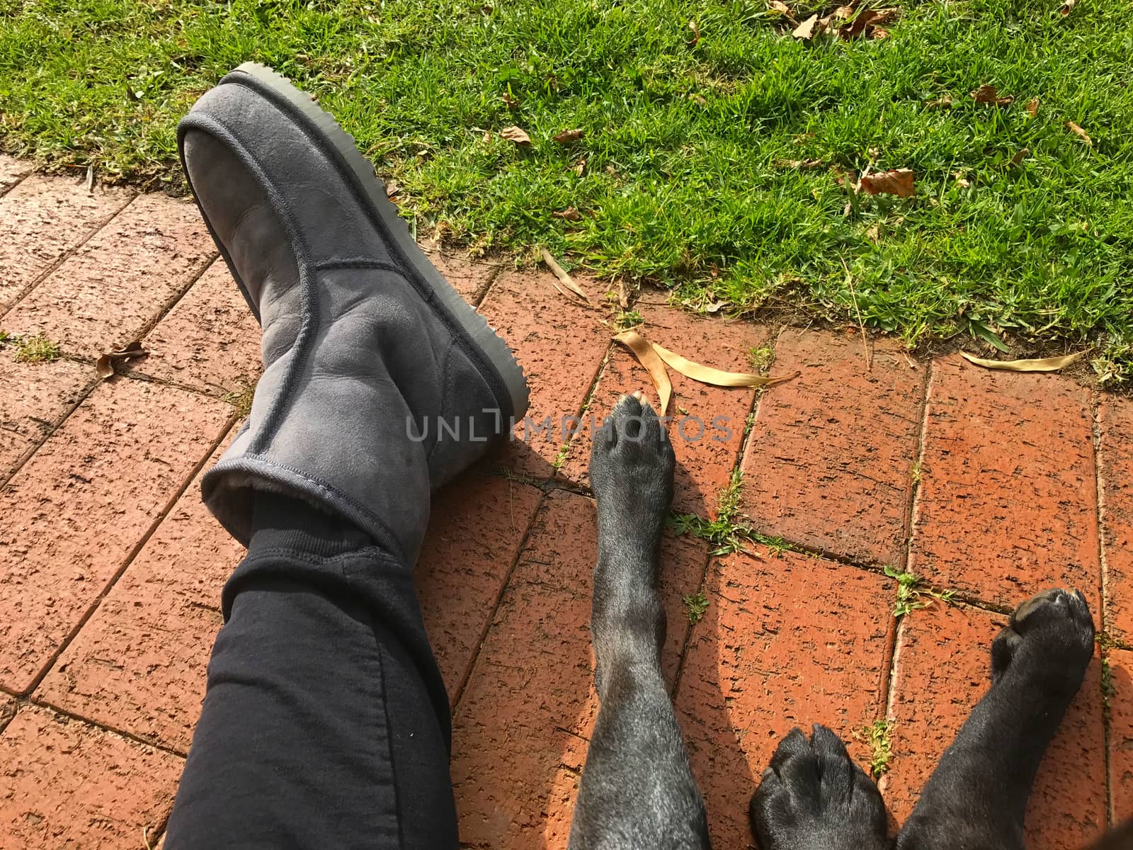 Feet from a black Labrador and his guardian