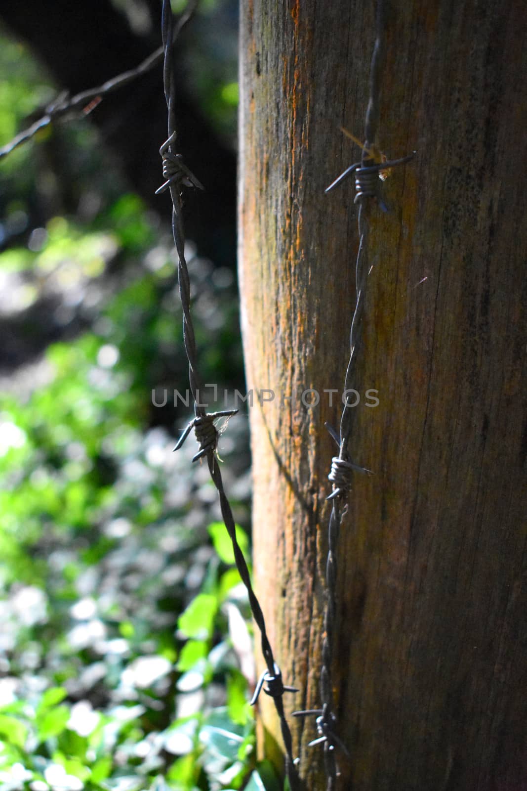 Barbed wire next to a wooden post outdoors