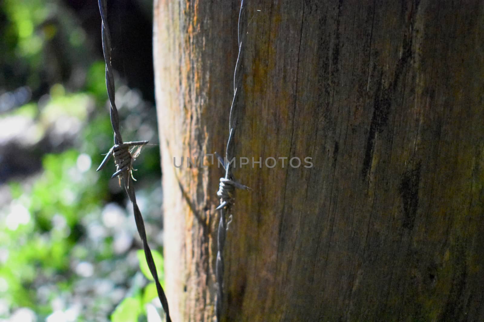 Barbed wire next to a wooden post outdoors