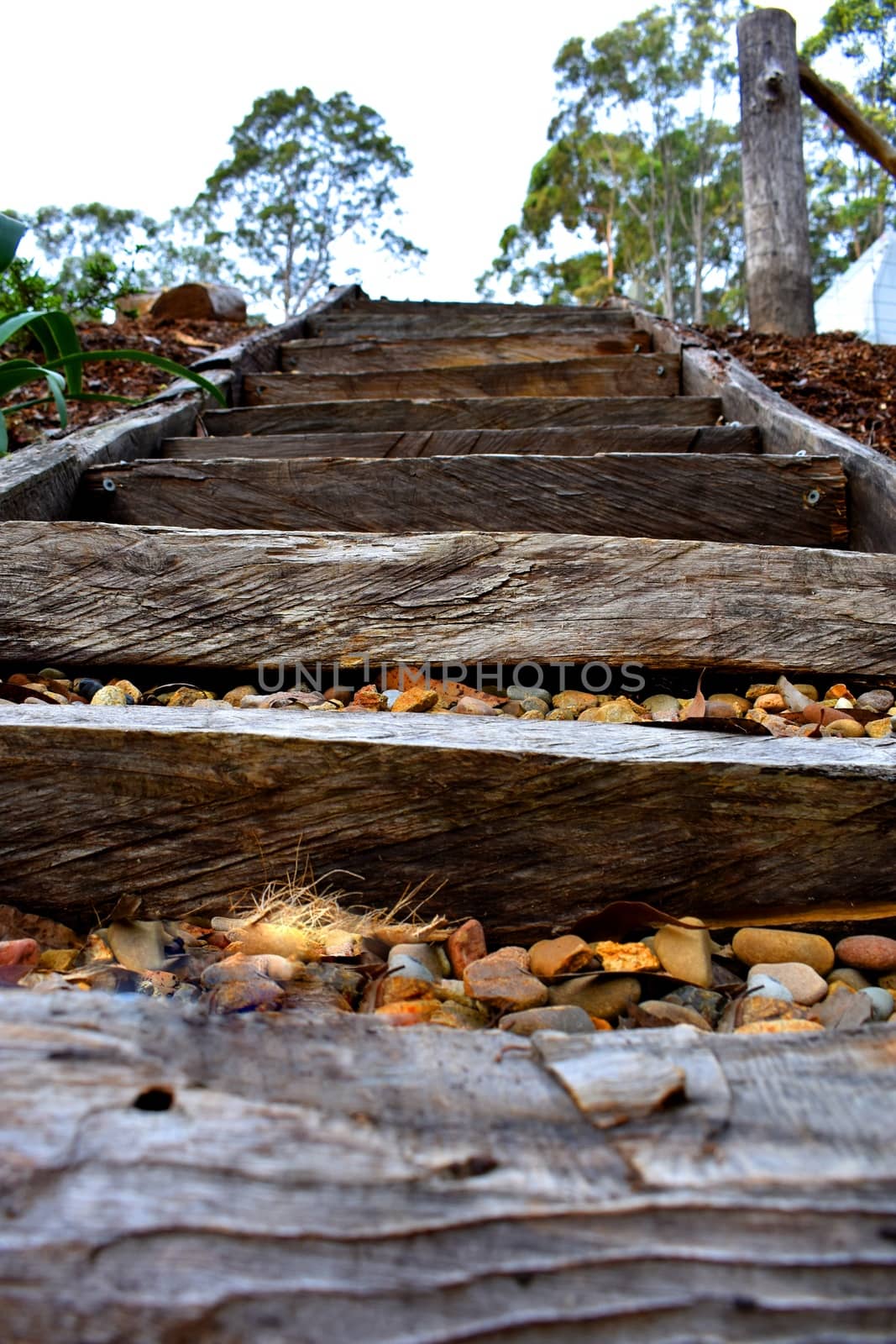 Stairs leading upwards from the beach