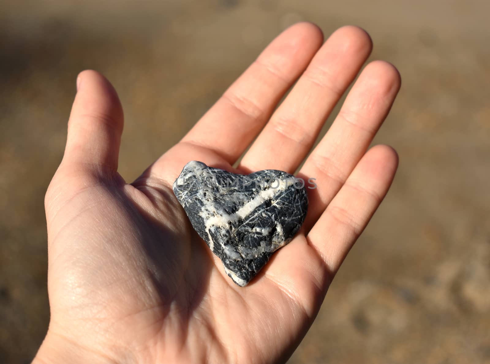 A female holding a black and white heart shaped rock at the beach