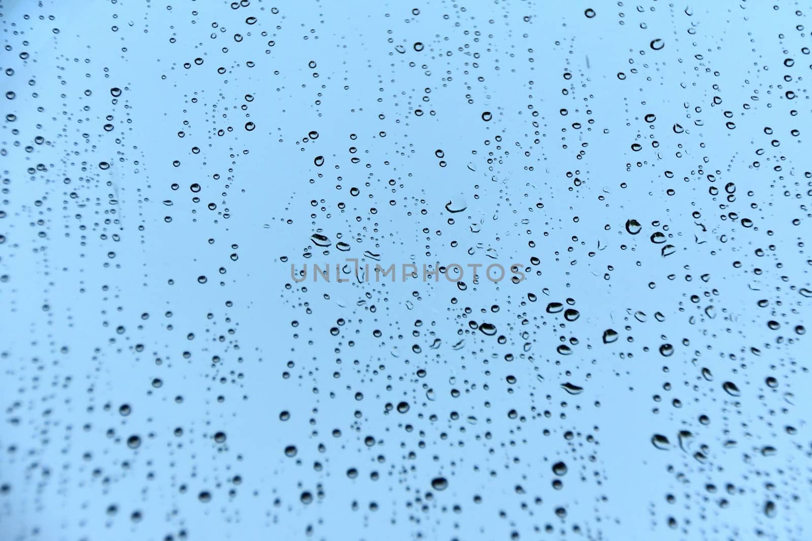 Rain droplets on glass