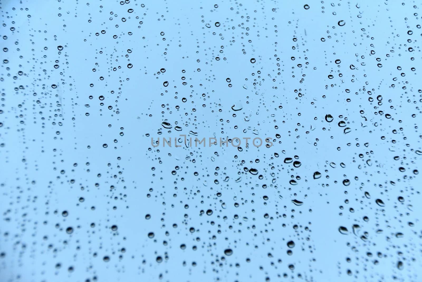 Rain droplets on glass