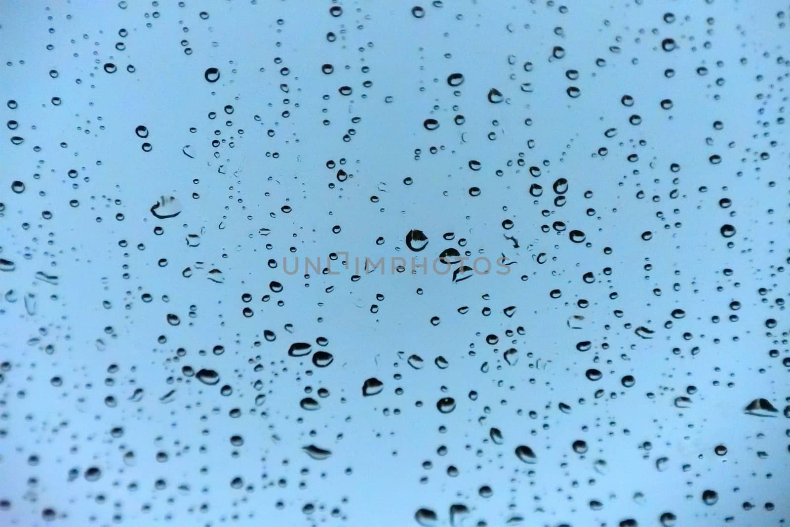 Rain droplets on glass