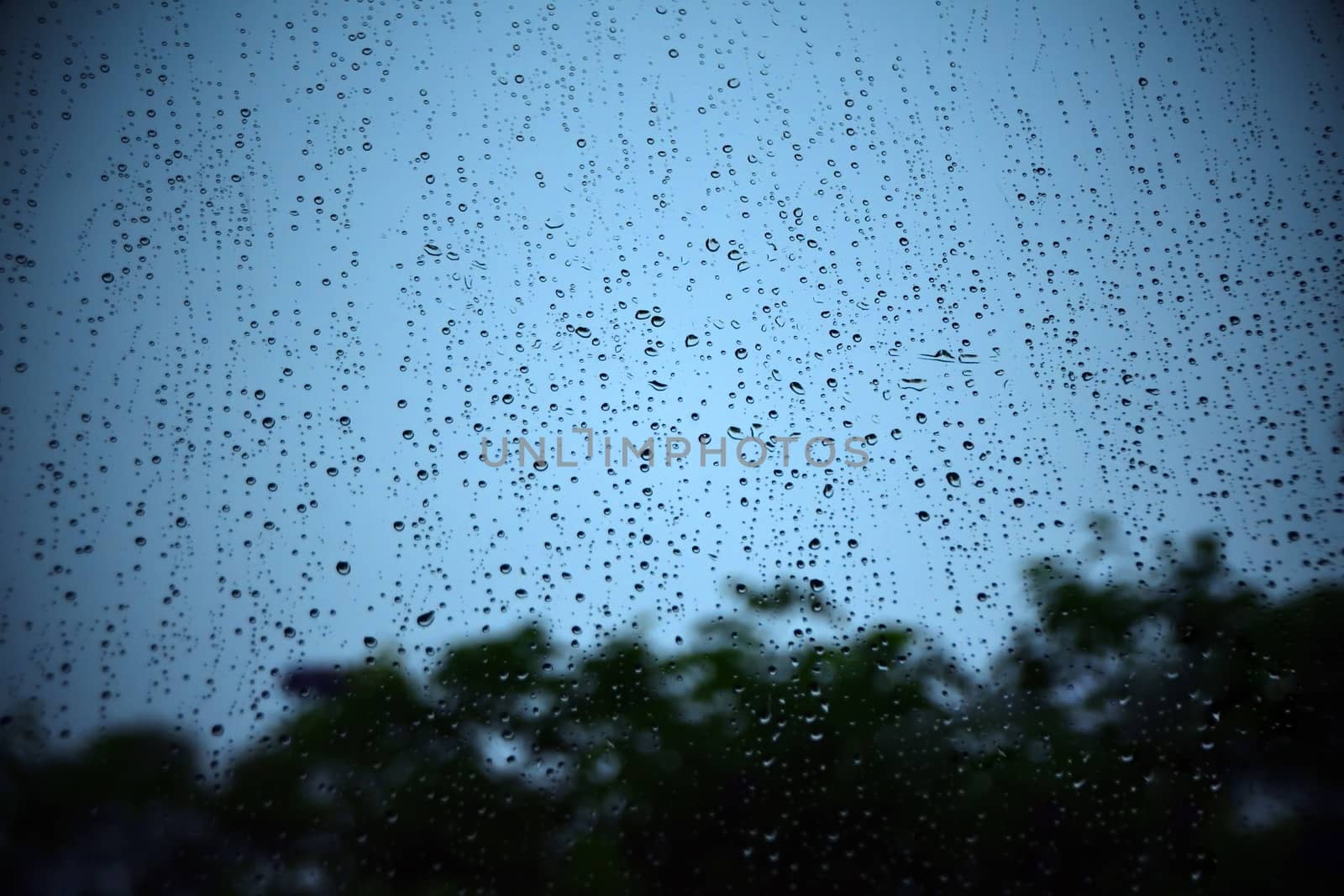 Rain droplets on glass