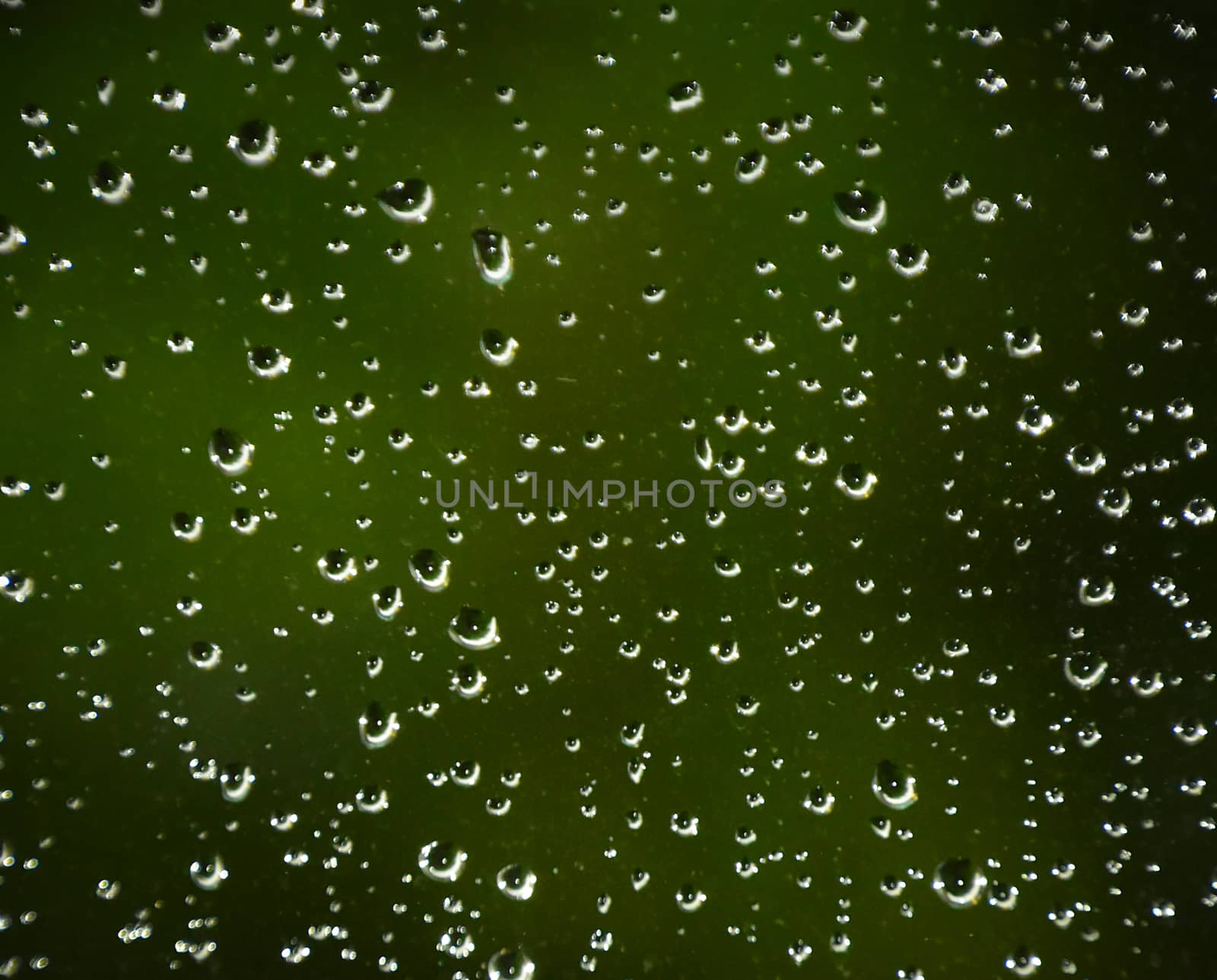 Rain droplets on glass